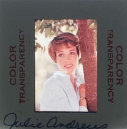 Julie Andrews