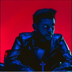 The Weeknd - Earned It. #earnedit #theweeknd #traducaodemusica #silvad