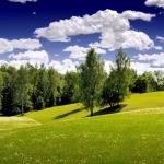 Do You Really Want To Hurt Me — Multitrack