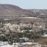 New Year's Day - Stems/Isolated